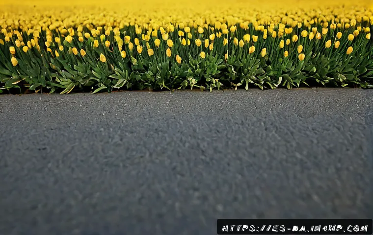 DAO 거버넌스에서의 자원 배분 전략 관련 이미지 2